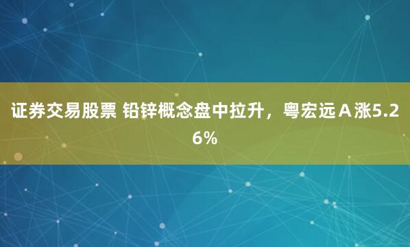 证券交易股票 铅锌概念盘中拉升，粤宏远Ａ涨5.26%