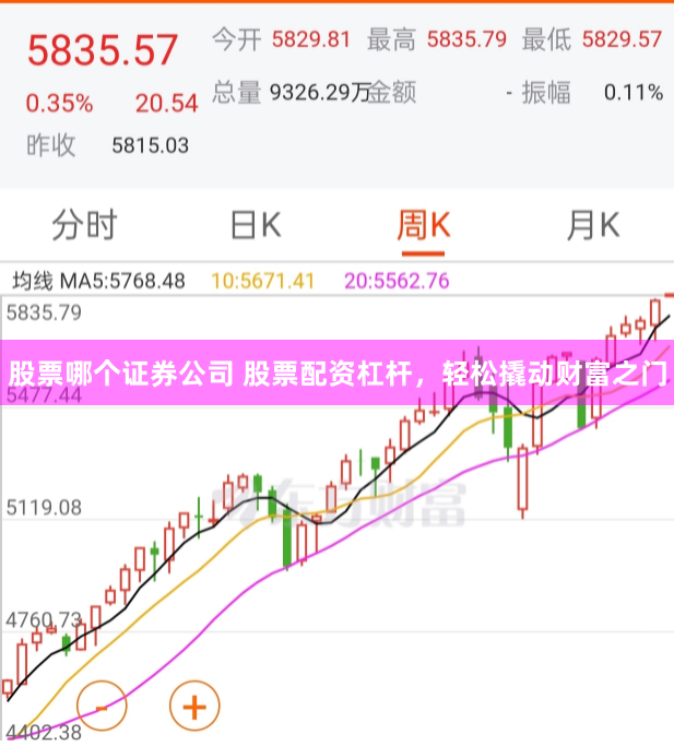 股票哪个证券公司 股票配资杠杆，轻松撬动财富之门