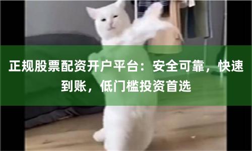 正规股票配资开户平台:安全可靠,快速到账,低门槛投资首选